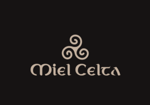 Lee más sobre el artículo Venta de miel casera en Asturias 🍯